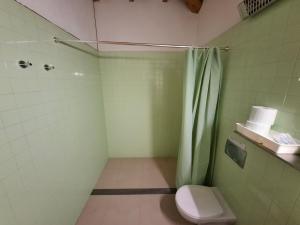a green bathroom with a toilet and a shower at House 1 in Fafe