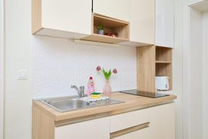 Kuchyň nebo kuchyňský kout v ubytování Spacious 4 Bedroom Dubrovnik Apartment