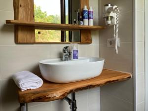 a bathroom with a white sink on a wooden counter at Agriturismo Parco della Chiusa in Casalecchio di Reno