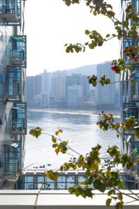 une vue d'un plan d'eau entre deux bâtiments dans l'établissement 광안리해수욕장 30초# 무료주차# 해수욕장 뷰# 민락더마켓# 수변공원, à Busan