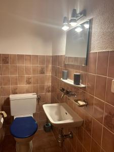 a bathroom with a toilet and a sink at Melezes K 021 - SKI & NATURE apartment 6 pers in Veysonnaz