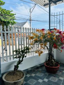 deux plantes en pot sur un balcon avec une clôture dans l'établissement Ryo Homestay Dốc Lết, à Ba Ha 3 autres photos