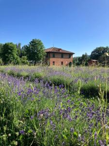 a field of purple flowers with a house in the background at Agriturismo Parco della Chiusa in Casalecchio di Reno