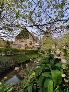 ein Haus mit einem Teich vor dem Garten in der Unterkunft FeWo Sulzbachtal, Nähe Europa-Park, Rulantica, Schwarzwald, Feldberg in Lahr