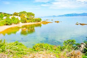 vista su una spiaggia con alberi e acqua di Sabali - Cottage Plage d'Argent at 100m - by TGB a Coti-Chiavari