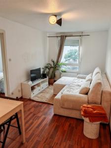salon z kanapą i telewizorem w obiekcie Charmant appartement au centre w Strasburgu