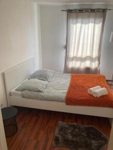 sypialnia z łóżkiem z oknem i dywanem w obiekcie Charmant appartement au centre w Strasburgu
