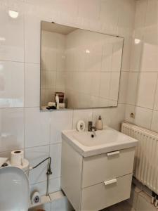 łazienka z umywalką, lustrem i toaletą w obiekcie Charmant appartement au centre w Strasburgu