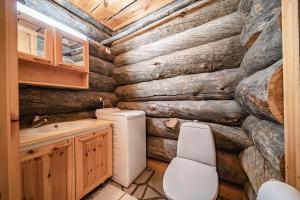 ein Blockhausbad mit Toilette und Waschbecken in der Unterkunft Charming Cottage Levi in Levi