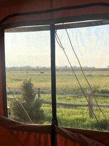 Loodusmaastik puhkemaja lähedal