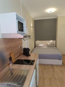 Una pequeña habitación con una cama y una cocina. en Very quiet 2-person studio with a hot tub, en Villeurbanne