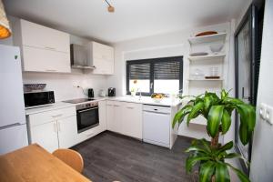 a kitchen with white cabinets and a potted plant at Appartement moderne au centre ville in Strasbourg