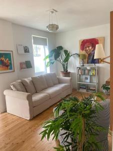 Et opholdsområde på 2 bed with garden near city centre & beach, free parking + 15 billeder