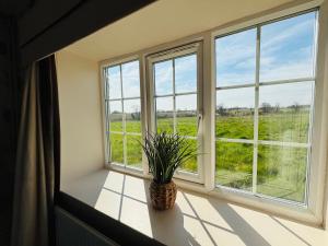 a window with a potted plant sitting on a window sill at The Sibson Inn Hotel in Water Newton