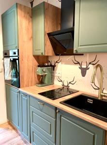 a kitchen with green cabinets and a stove top oven at Lindners Hideaways - Gutshof Pine Retreat - Sauna - In Villa - Terrasse - Garten mit Rehgehege - Frühstück verfügbar - SKI - Arber - Osser - bis 5 Pers in Hohenwarth