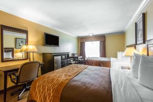 a hotel room with a bed and a desk and a television at Quality Inn & Suites Bell Gardens-Los Angeles in Bell Gardens