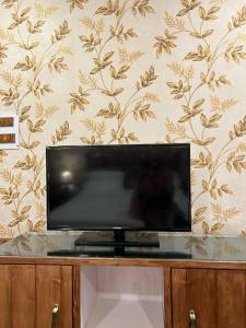 TV a/nebo společenská místnost v ubytování Ginkgo Leaf
