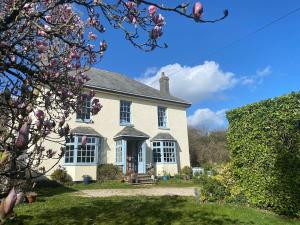 a large white house with a flowering tree at Bell Ringers Cottage in Loddiswell