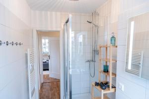 a bathroom with a shower and a walk in shower at Atelierwohnung am Stadtpark in Chemnitz +16 photos