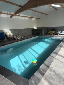 una grande piscina in una stanza di Havre de Paix a Bourg-de-Péage