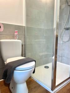 ein Badezimmer mit Toilette und Dusche in der Unterkunft Chez Arthur -Séjour en Sologne in La Ferté-Saint-Aubin