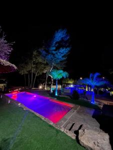 a swimming pool with blue and red lights at night at Melrose Loft with master suite in Sanary-sur-Mer +28 photos