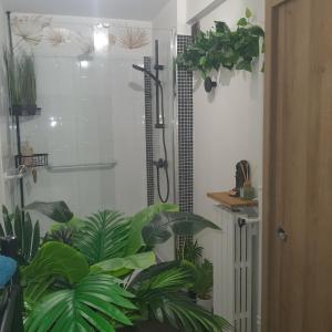 y baño con ducha con plantas. en Loft spacieux-2 min de la plage, en Marsella
