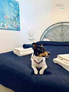 a dog sitting on top of a bed at Villa Lina in Castiglioncello