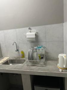 a kitchen sink with a drying rack next to it at Departamento V&S in Posadas