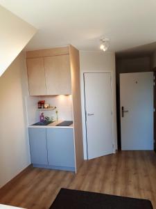 Kuchyň nebo kuchyňský kout v ubytování Guesthouse Dusart