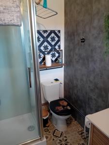 un baño con inodoro y ducha en Petite maison, en Messei-Saint-Gervais