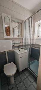 Koupelna v ubytování Guesthouse Deželjin