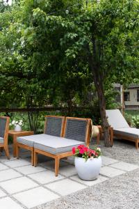 Zahrada ubytování Emtec Farm Accommodation