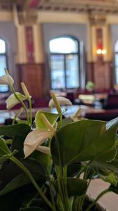 Restavracija oz. druge možnosti za prehrano v nastanitvi Hotel Harder Minerva