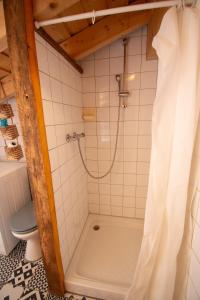 a bathroom with a shower and a toilet at L'Evasion du Haut au milieu de la nature in Les Verrières-de-Joux +38 photos