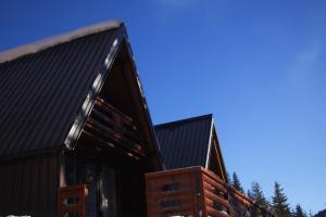 a log cabin with a black roof at Evergreen Tiny Homes in Peje +5 photos