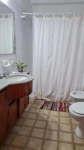 a bathroom with a shower and a sink and a toilet at El Chabot Fan in Salta