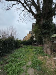 a field with a tree and a house in the background at Cozy room 7 in London