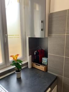 una cocina con encimera con una planta en appartement RDC gauche, en Bagneux