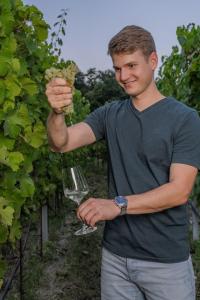 Majutusasutuse Winzerhof Mörtinger külastajad