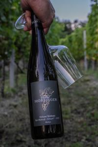 Joogid majutusasutuses Winzerhof Mörtinger