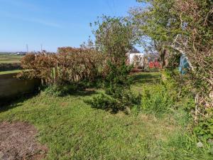 a yard with trees and grass and a fence at 11 Penygroes in Llantrisant +12 photos