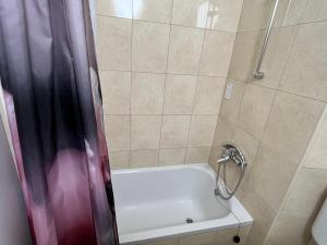 Koupelna v ubytování Viola rooms