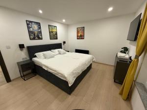Postel nebo postele na pokoji v ubytování Apartment Goran
