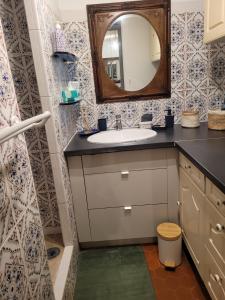a bathroom with a sink and a mirror at Le petit toit in Six-Fours-les-Plages