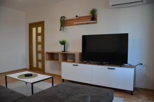 Μια τηλεόραση ή/και κέντρο ψυχαγωγίας στο Riverview apartment