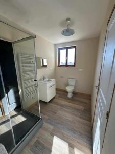a bathroom with a shower and a toilet at Le Clos de Bourdeilles chambre 2 avec wifi in Bourdeilles