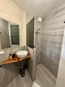 a bathroom with a sink and a shower at Ferienwohnungen Maedchen in Wunstorf