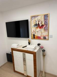 TV a/nebo společenská místnost v ubytování Apartment Goran