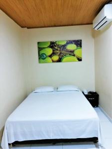 a white bed in a room with a picture on the wall at Hotel Shaday in Leticia +4 photos